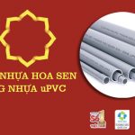 [Cập Nhật Giá] Ống Nhựa uPVC Hoa Sen Miền Nam