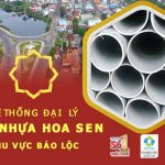 Đại lý ống Hoa Sen tại Bảo Lộc - Giá tốt giao hàng nhanh