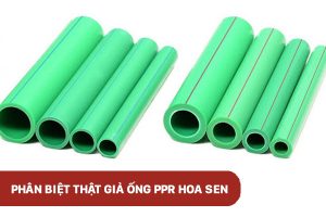 Phân biệt thật giả ống nhựa PPR Hoa Sen
