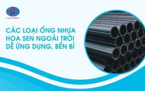 Các Loại Ống Nhựa Hoa Sen Ngoài Trời