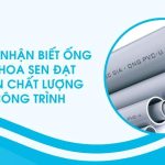 Cách nhận biết ống nhựa Hoa Sen đạt chuẩn chất lượng cho công trình