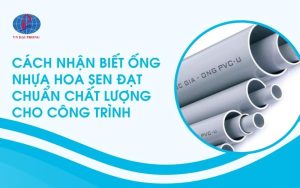 Cách nhận biết ống nhựa Hoa Sen đạt chuẩn chất lượng cho công trình