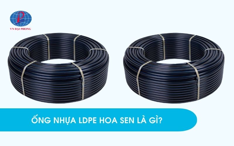 Ống nhựa LDPE Hoa Sen là gì?