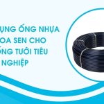 Ứng dụng ống nhựa LDPE Hoa Sen cho hệ thống tưới tiêu nông nghiệp