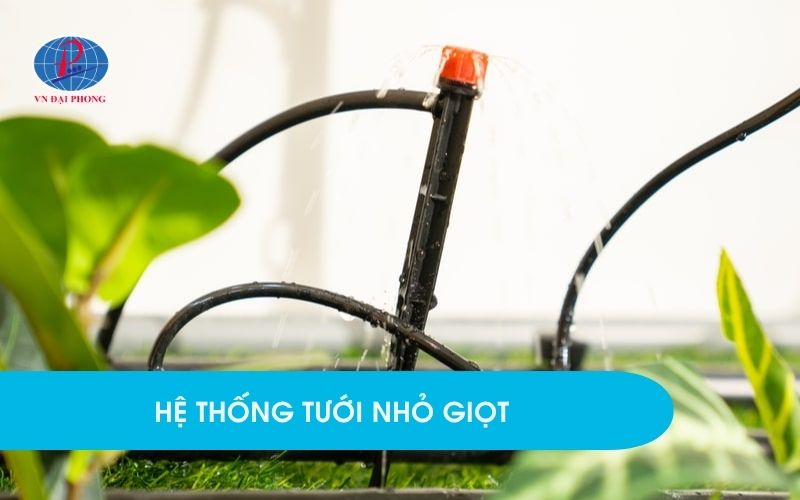 Ứng dụng hệ thống tưới nhỏ giọt