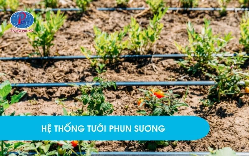 Ứng dụng ống nhựa LDPE trong hệ thống tưới phun sương
