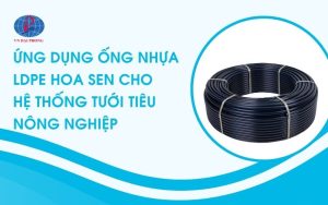Ứng dụng ống nhựa LDPE Hoa Sen cho hệ thống tưới tiêu nông nghiệp