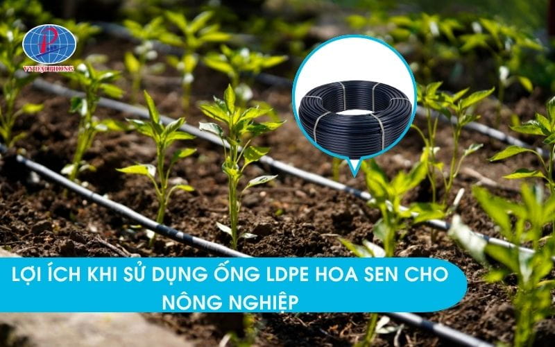 Lợi ích khi sử dụng ống LDPE Hoa Sen