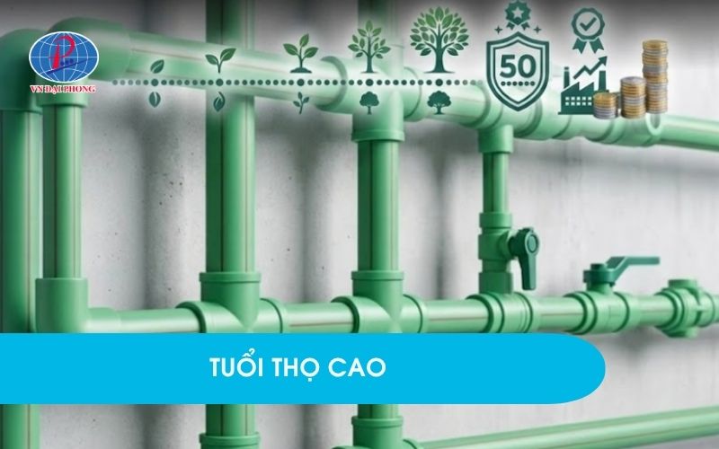 Tuổi thọ cao